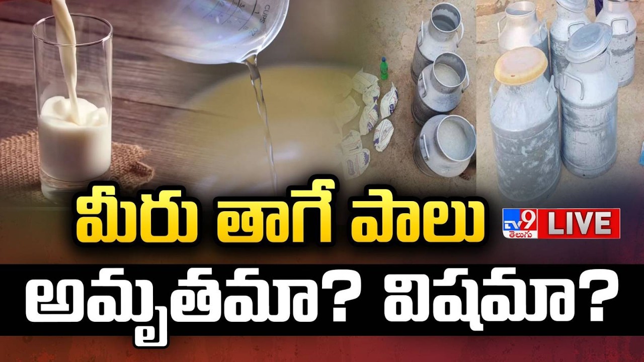 మీరు తాగే పాలు అమృతమా?..విషమా? LIVE | Is Milk Nectar or Poison? - TV9