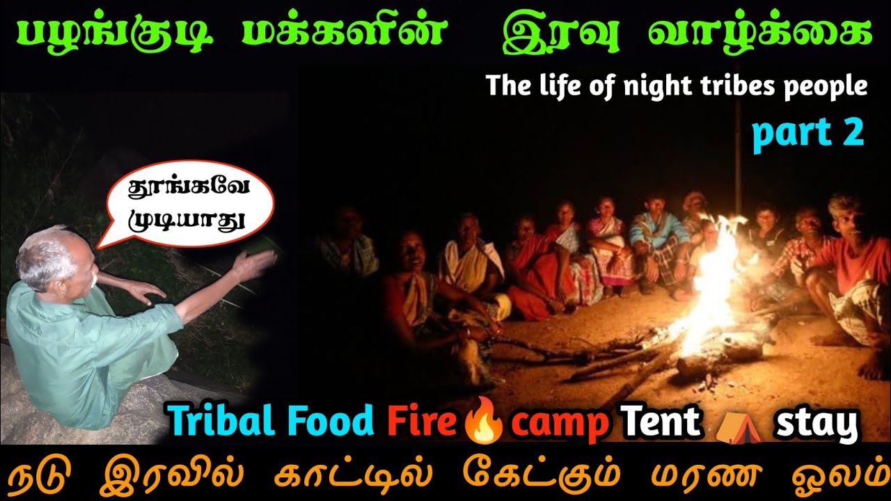 இரவுநேர காட்டு வாழ்க்கை part 2 the life of night tribals people #forest #tribal #village #nightlife
