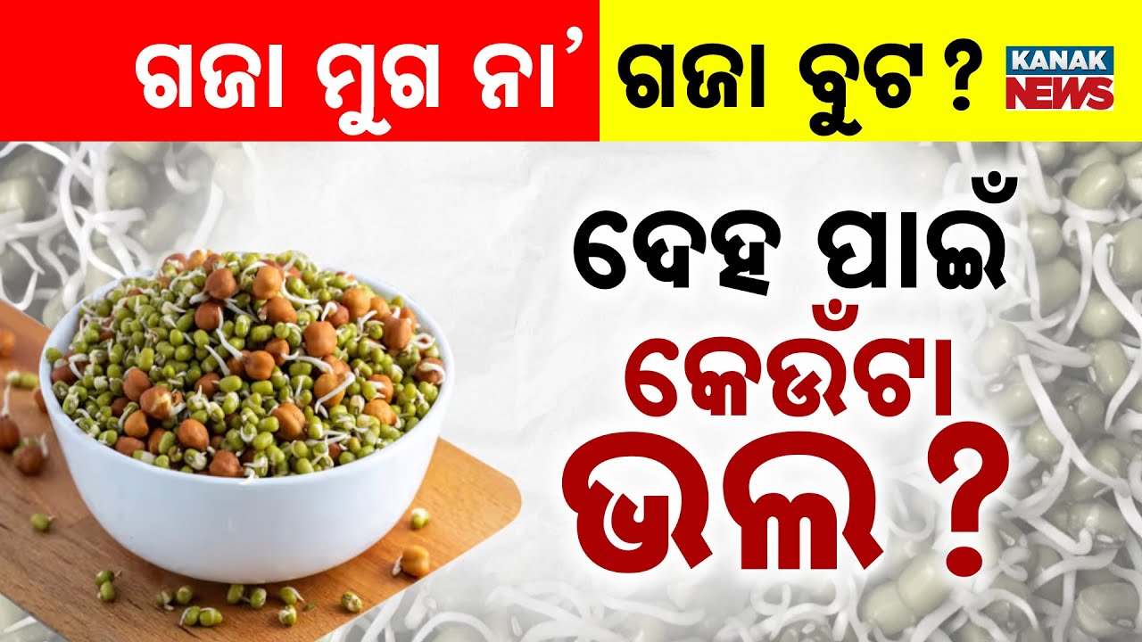 Special Report: Gaja Buta Vs Gaja Muga | Which Is Healthier? | Nutrition Comparison Explained