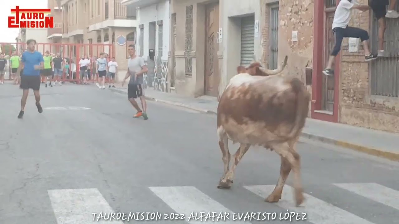 ALFAFAR (V) 2022/08/19 EVARISTO LÓPEZ TARDE TAUROEMISION TOROSENDIRECTO #BULLHD1080P