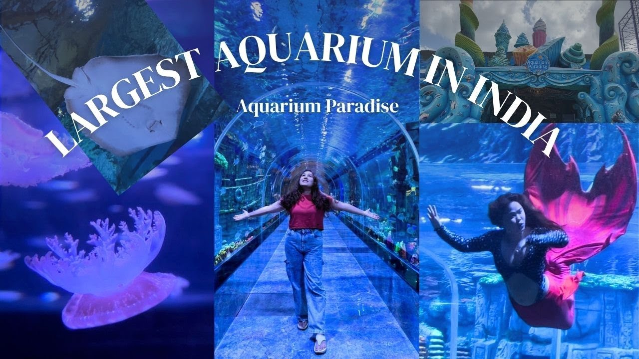 Largest Underwater Tunnel Aquarium in India || Aquarium Paradise, Fun World  Bangalore || Mermaid