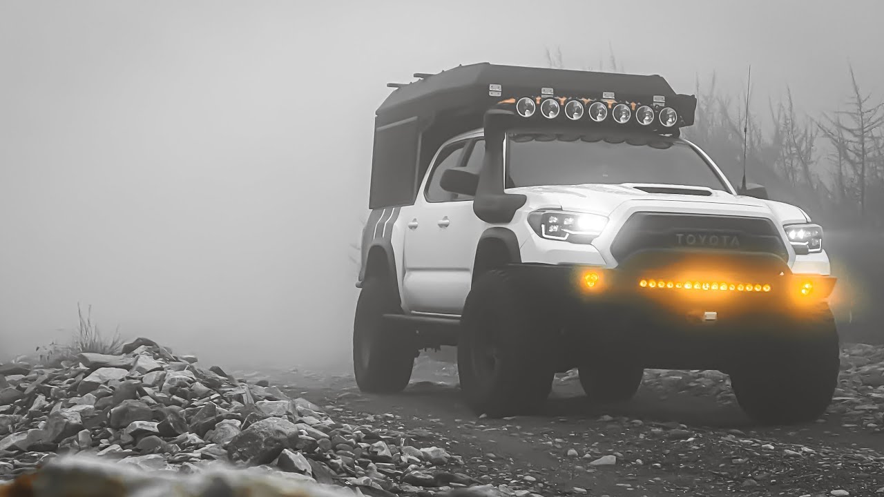 Camping In Heavy Fog Conditions With My Dog | Solo Camping