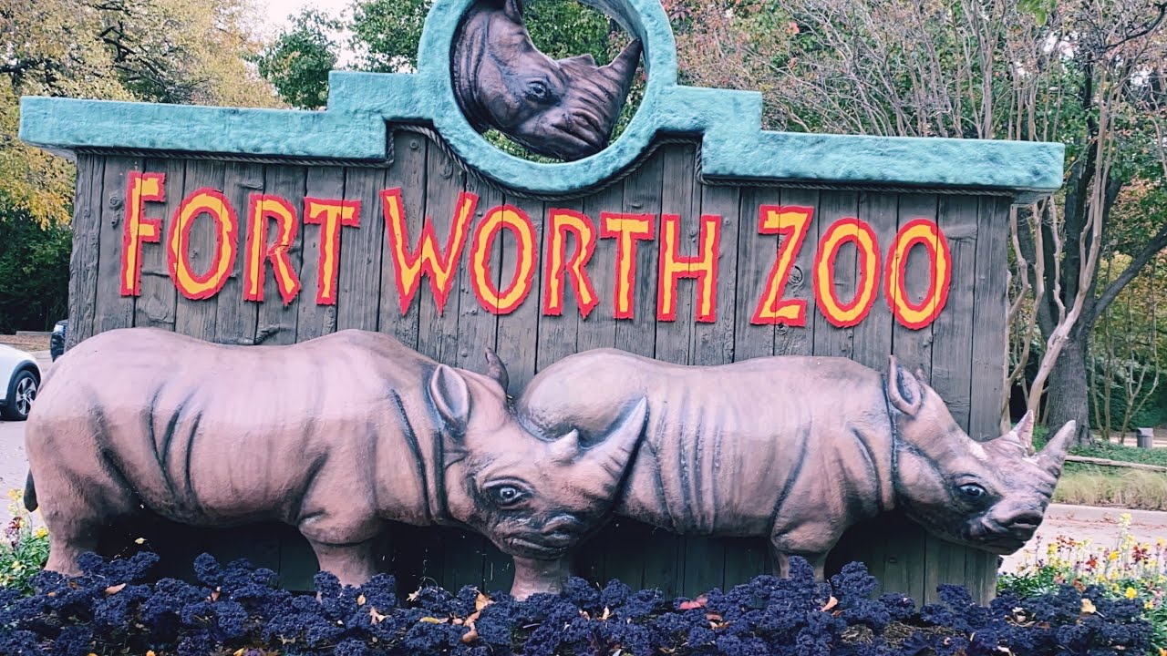 Fort Worth Zoo Tour