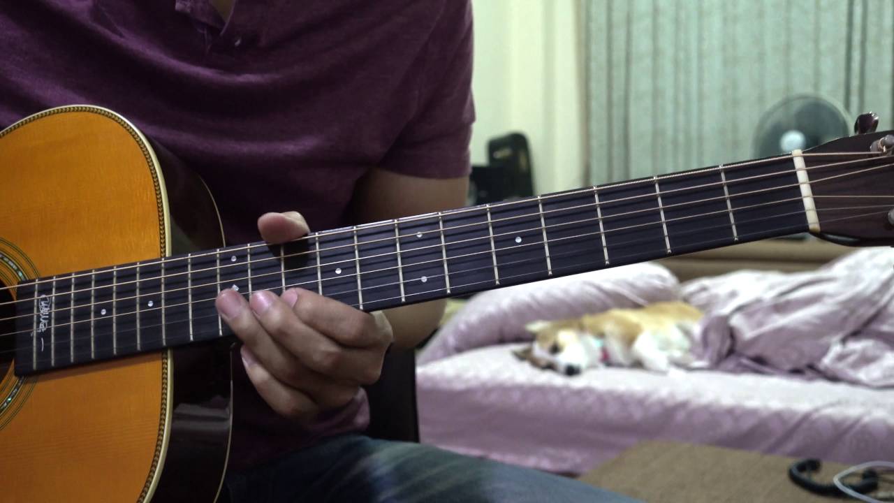 In Repair (Acoustic Solo) - John Mayer