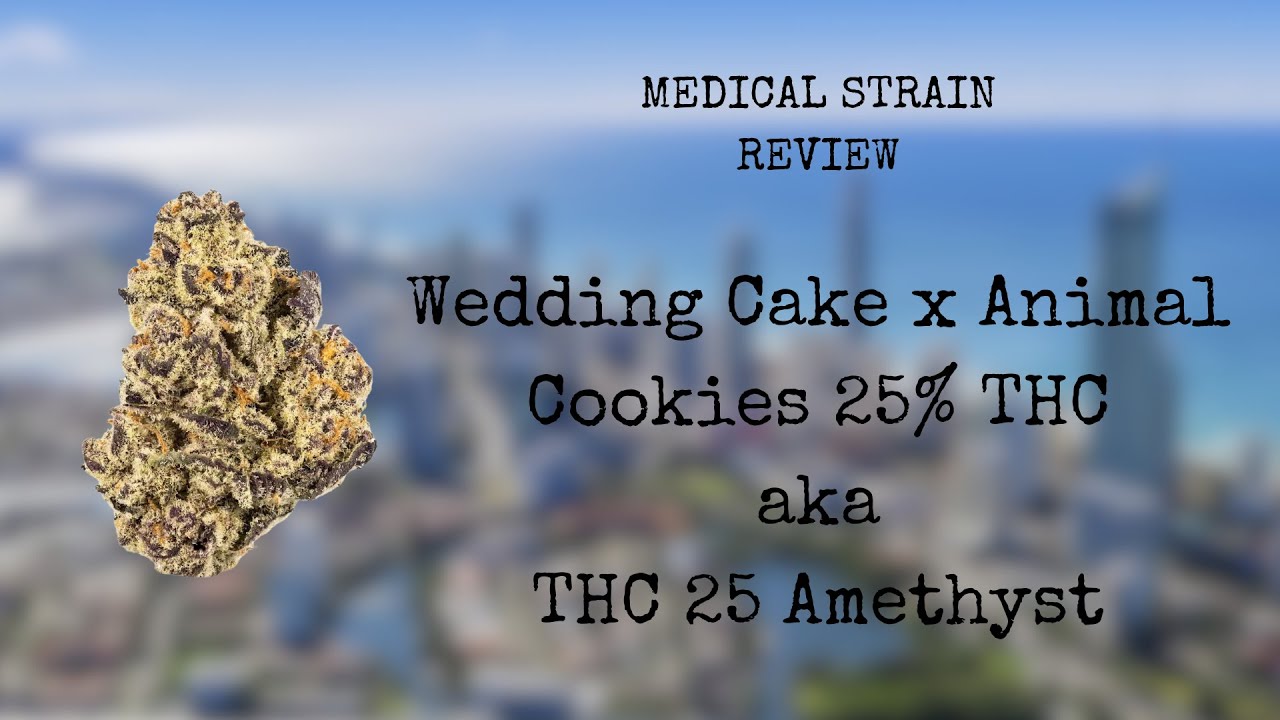 Medicinal Cannabis Review: Wedding Cake x Animal Cookies aka THC 25 Amethyst