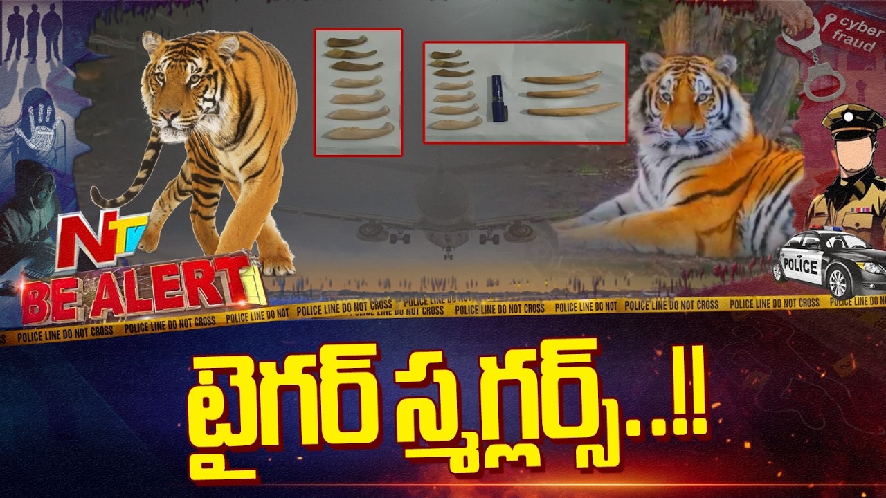 Hyderabad Police Arrest Two for Selling Tiger Teeth and Claws | Be Alert | NTV Telugu