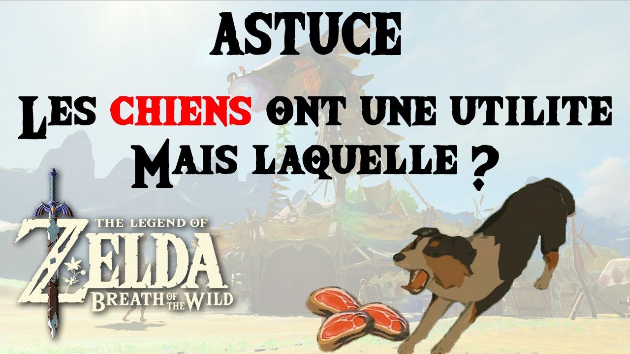 Mais à quoi servent les chiens ? Astuce Zelda BOTW