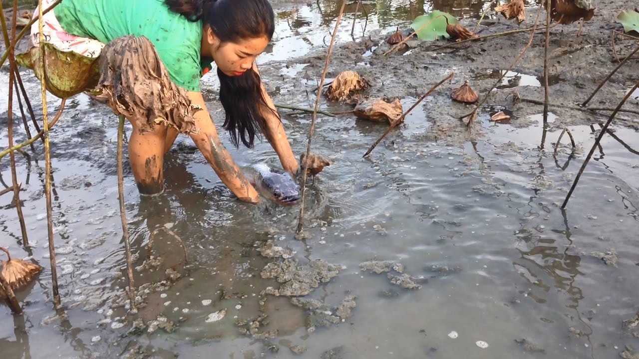 AMAZING Net Fishing - Net Fishing at Kampong Cham Province - Cambodia Traditional Fishing #05