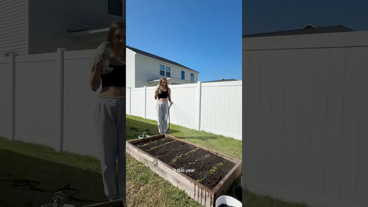 Beginner veggie garden tips