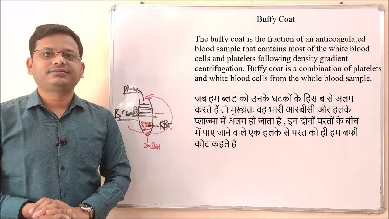 Buffy Coat = Definition of Buffy Coat | Buffy Coat | What is Buffy Coat in Blood | layers of Blood