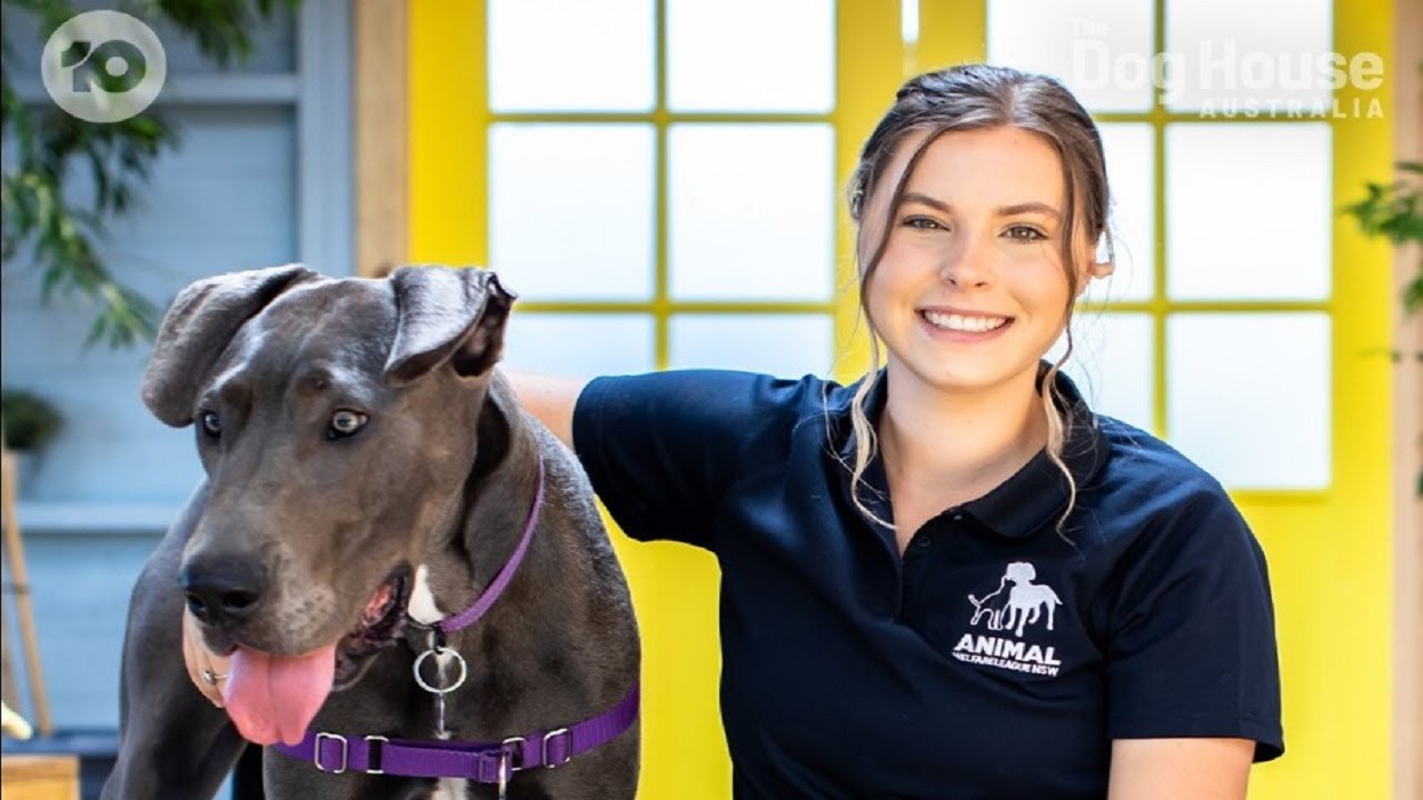 The Dog House Australia: Is one-eyed Maltese Harlie the right remedy for Karin?