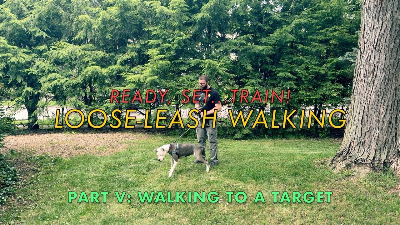Loose-Leash Walking | Part Five: Walking to a Target | Ready, Set…Train!