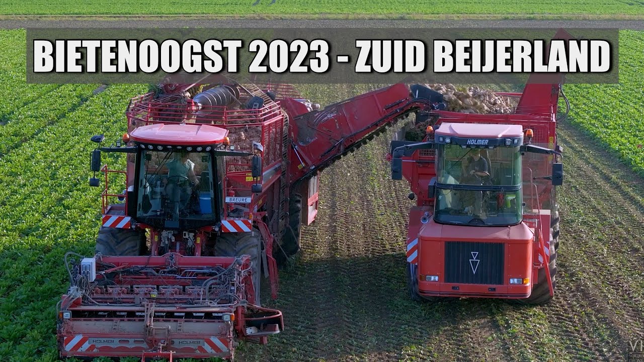 Bietenoogst 2023 Zuid-Beijerland - Holmer Exxact T4-30 en Holmer Overlaadwagen / Sugar Beet Harvest
