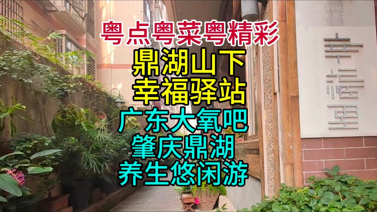 粤点粤菜粤精彩，鼎湖山下，幸福驿站，广东大氧吧肇庆鼎湖养生悠闲游，粤语中字幕2024-12-20