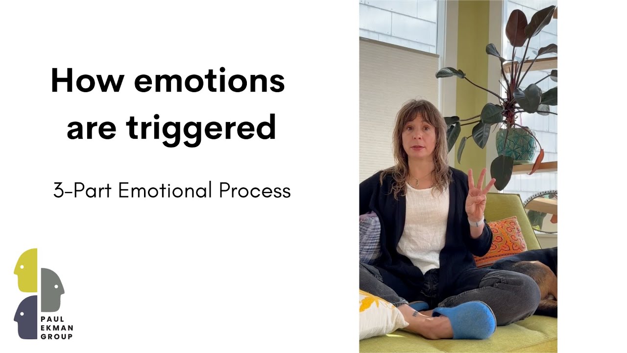 How are emotions triggered?