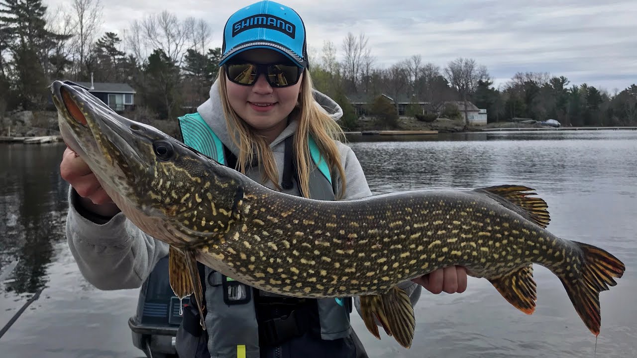 Chasing Early Spring Big Pike!! (This Bait Always Works)