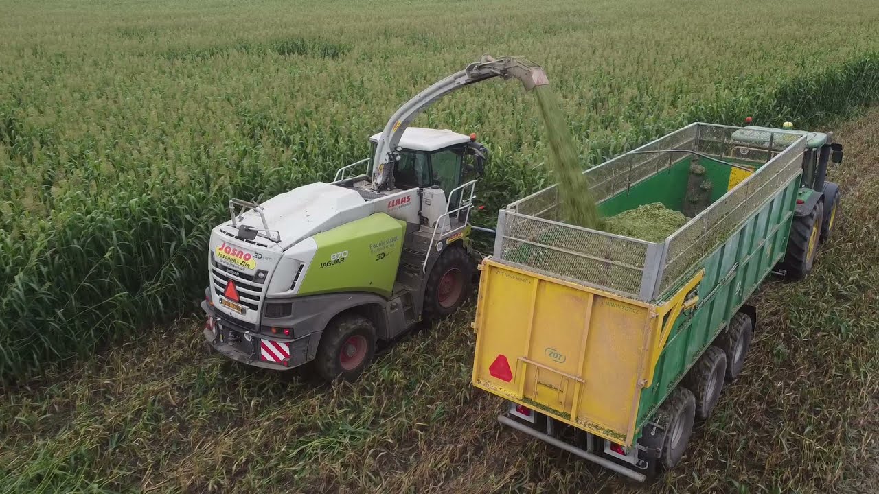 Farma Majcichov | Cirok |