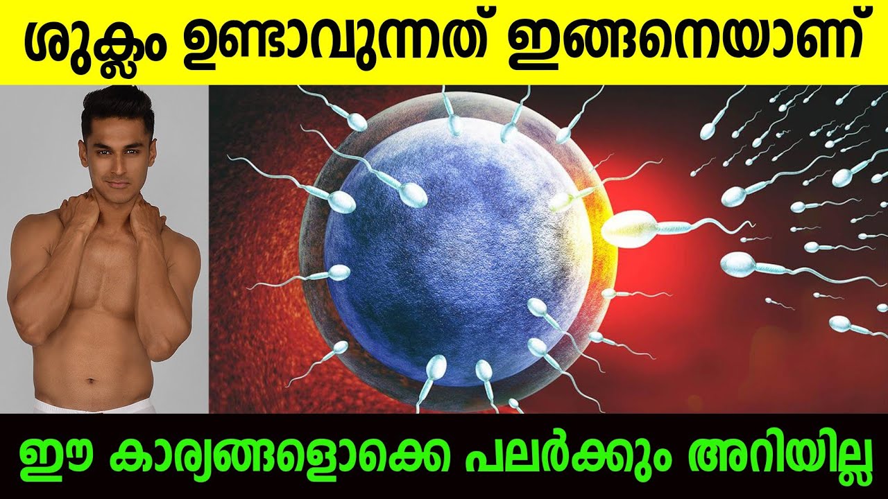 ബീജം, ശുക്ലം വ്യത്യാസം ഇതാണ് | ഈ കാര്യങ്ങൾ അറിഞ്ഞില്ലെങ്കിൽ പണി കിട്ടും