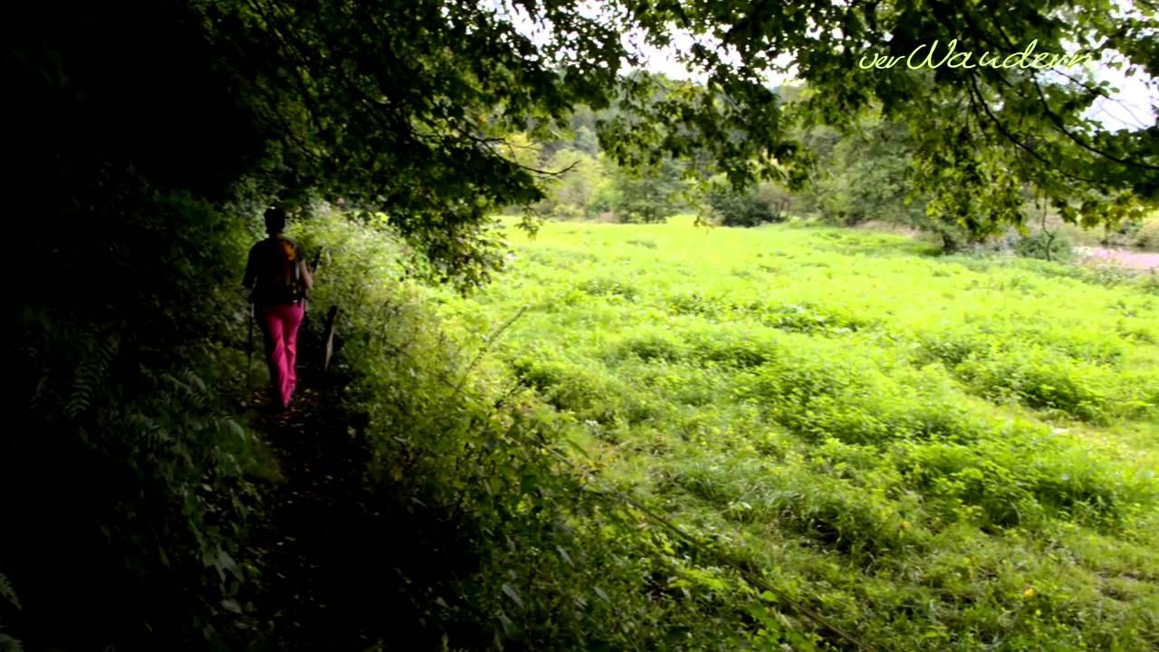 Natursteig Sieg Etappe 11 Wissen-Scheuerfeld