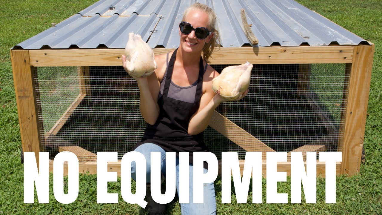 Learn to Butcher Chickens without equipment \ EASY \ Hand plucking 10 week old Freedom Rangers