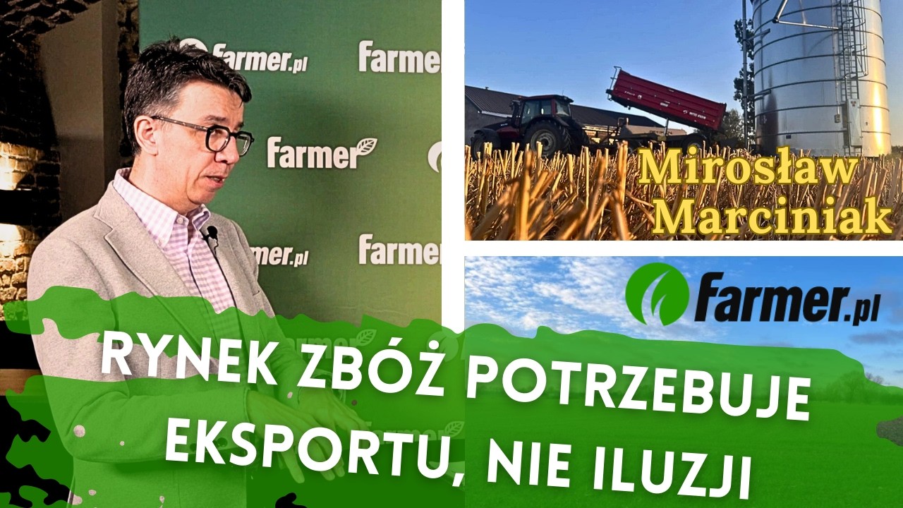 Rynek zbóż potrzebuje eksportu, nie iluzji. „To starcie Dawida z Goliatem” | Farmer.pl