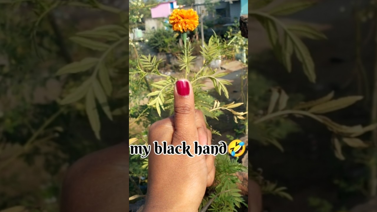 # trending#✋✋✋# my black hand #