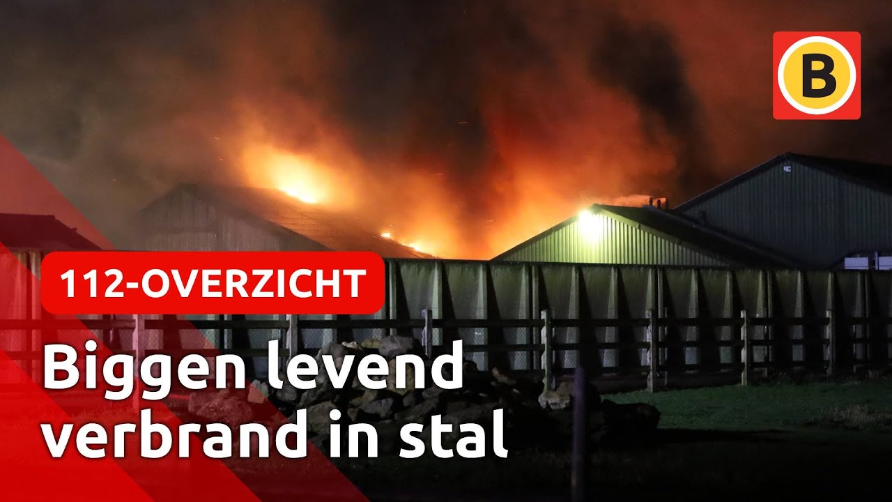 STAL gaat in VLAMMEN OP | 112-overzicht