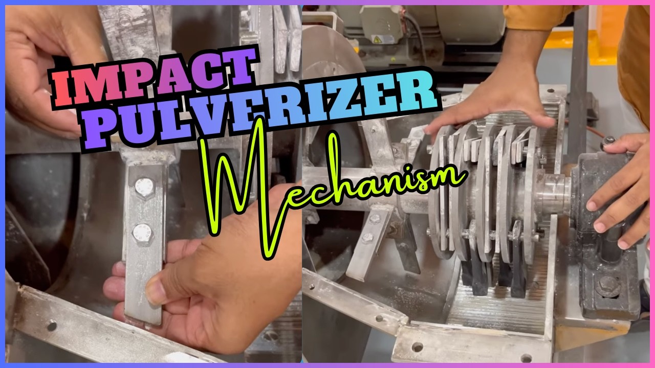 TURMERIC PULVERIZER MACHINE - Inside the machine +91 951200 6775