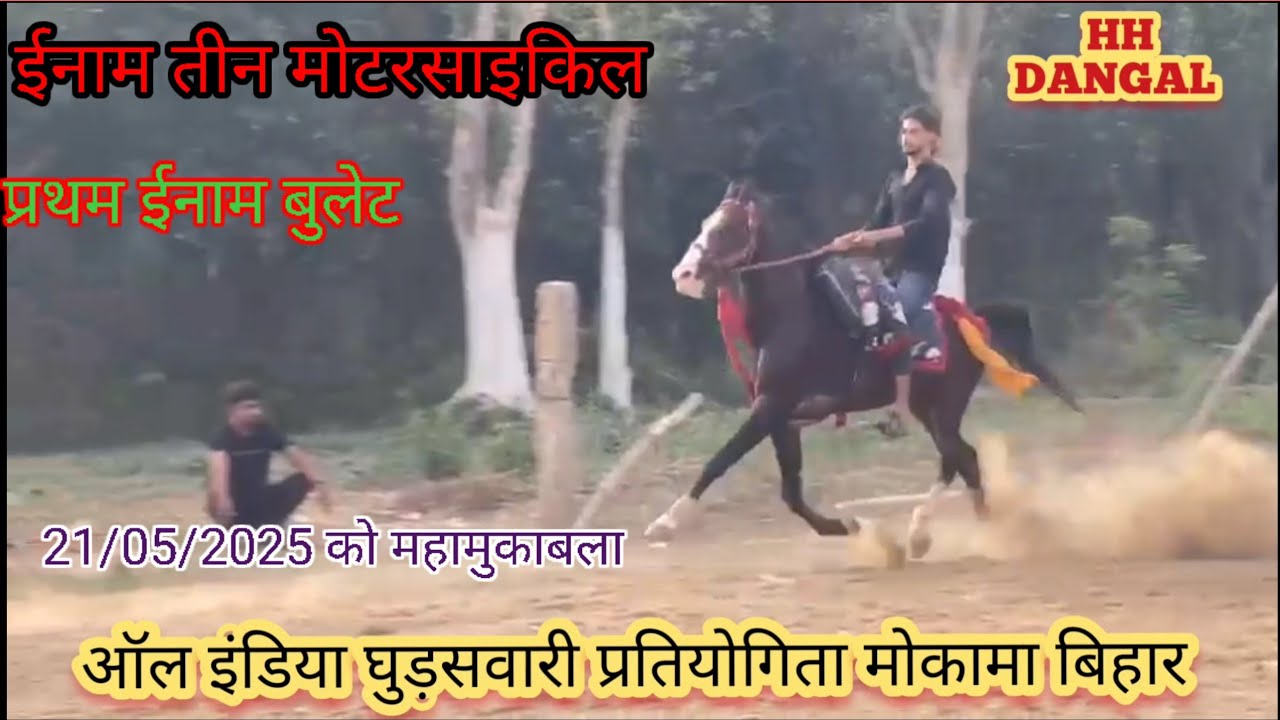 ऑल इंडिया घुड़सवारी प्रतियोगिता मोकामा बिहार रेस ग्राउंड पर सवार रिजवान लेकर पहुंचे कर्ण घोड़े को...