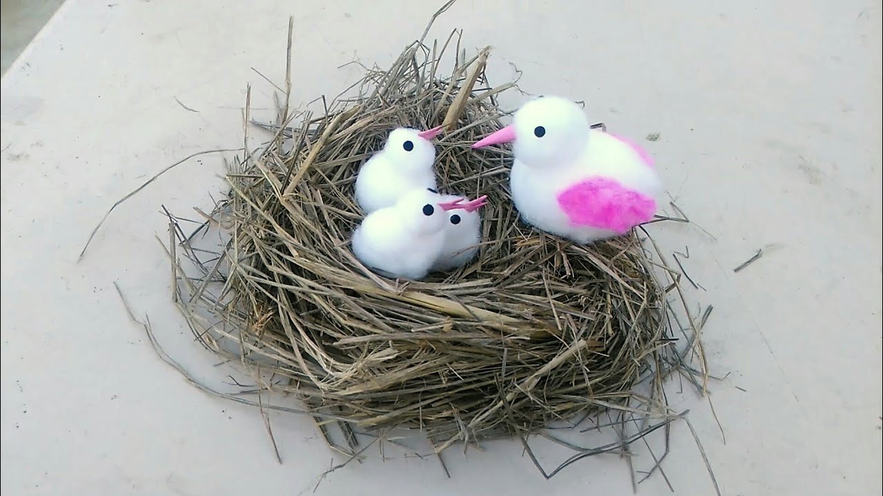 Make Bird with their little babies in nest from cotton. Gk craft