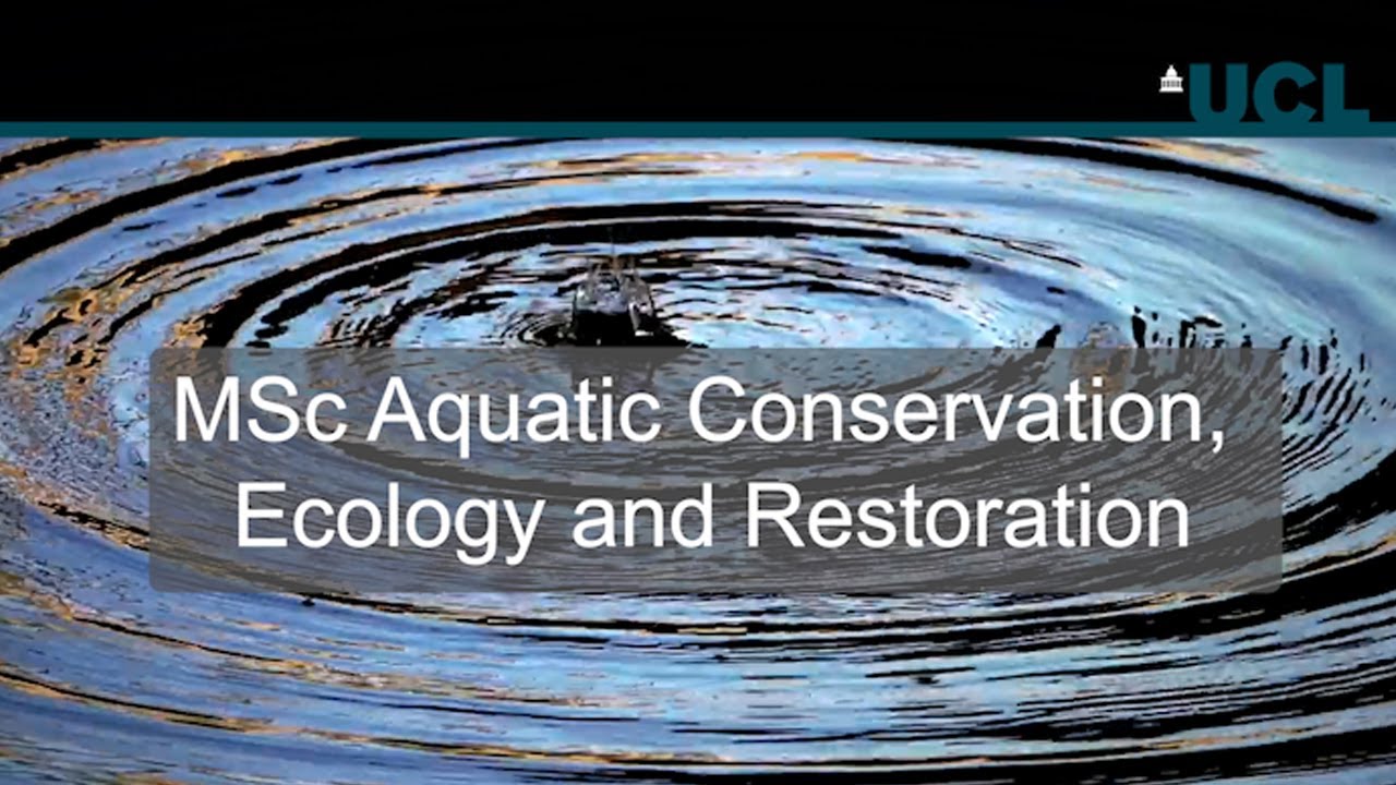 MSc Aquatic Conservation, Ecology and Restoration