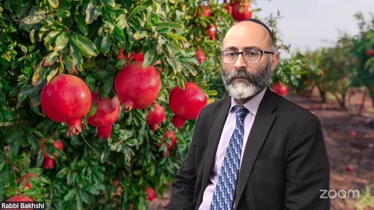 Rabbi Bakhshi pure Talk 187