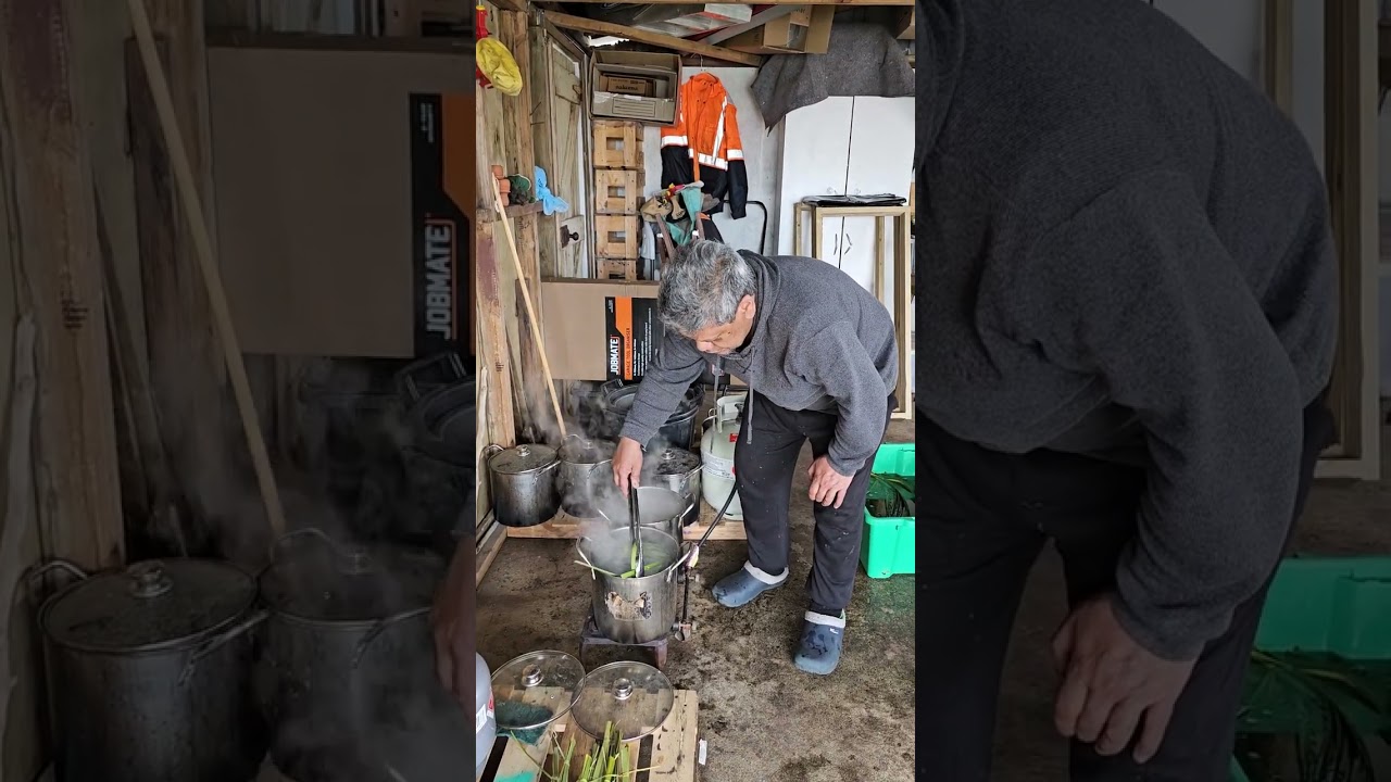 Как варить харакеке/Нозеландский лен для ткачества