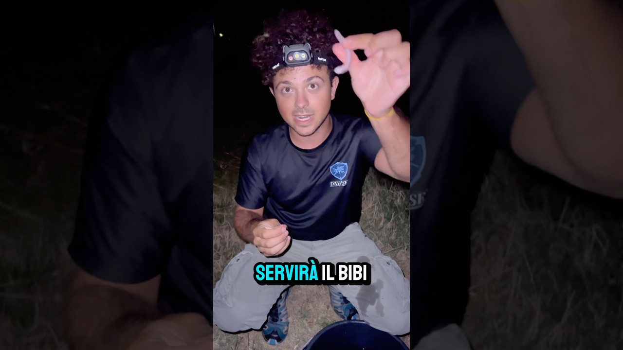 Tutorial innesco del Bibi pt1
