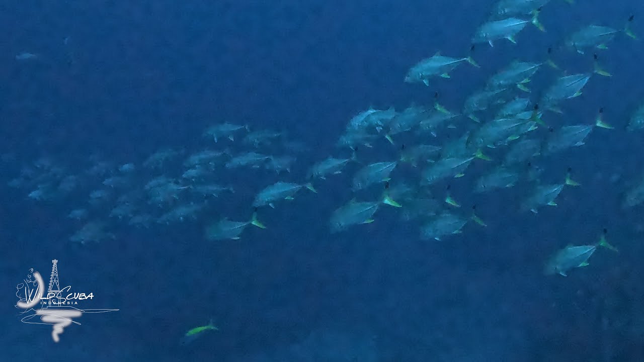 Amazing Magnet!