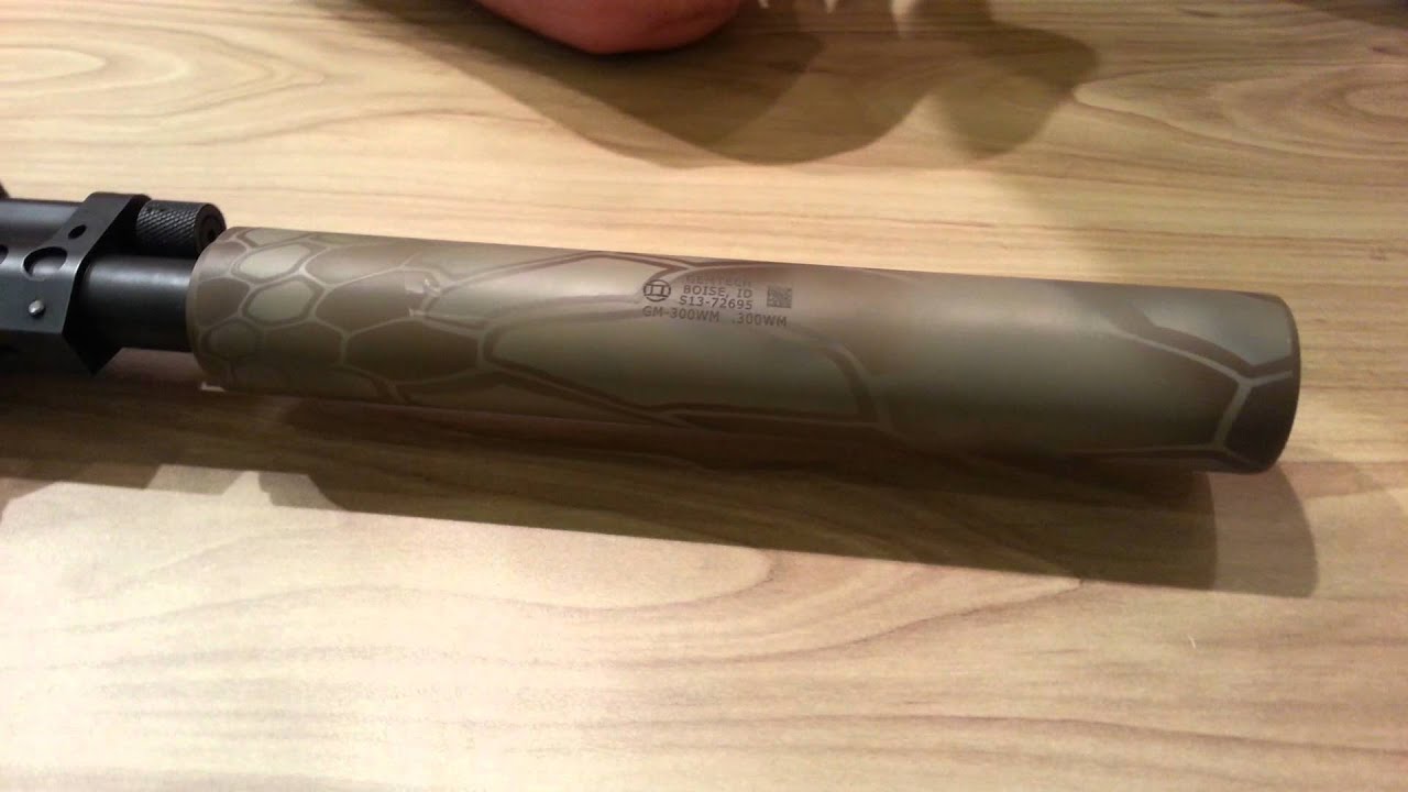 Shot Show 2014  www.TexasGunTrust.com:   Gem-Tech gm-300wm