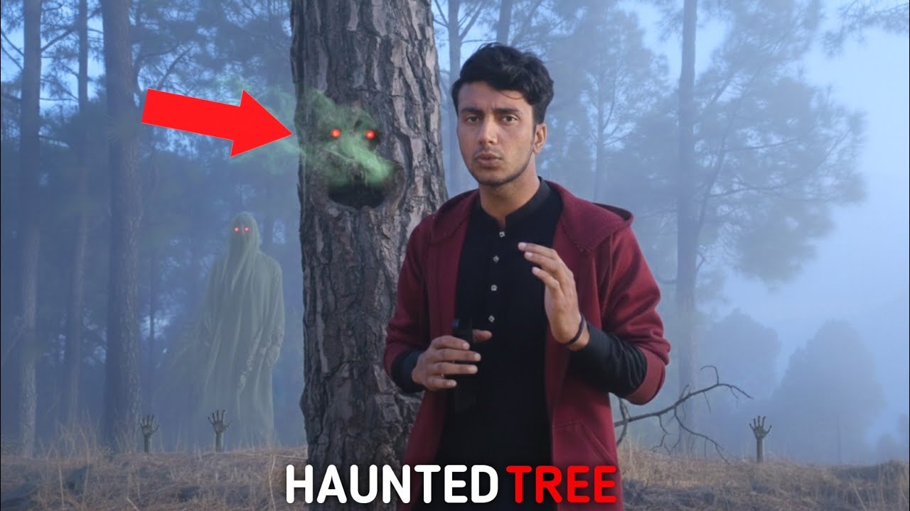 Es Haunted Tree Ke Neechy Koi Bhi Khadha Nhi Hota😱
