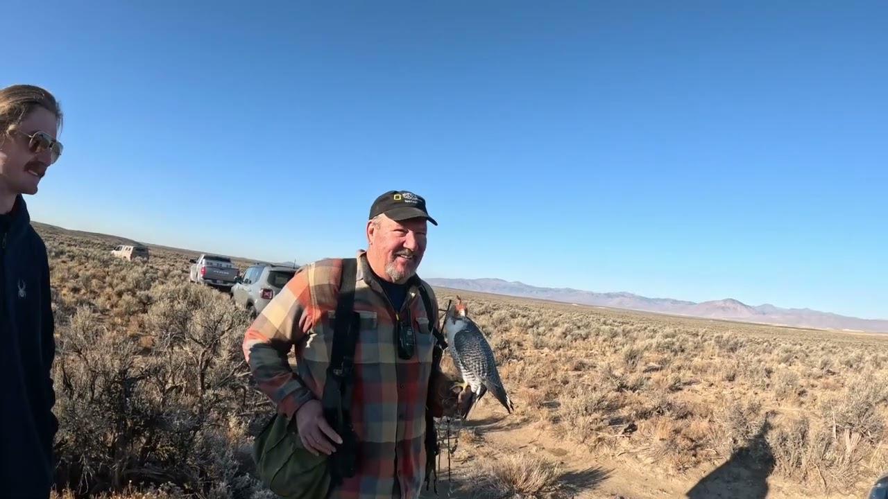 Idaho Falconers Association Fall Meet 2024 Arco, Idaho 1