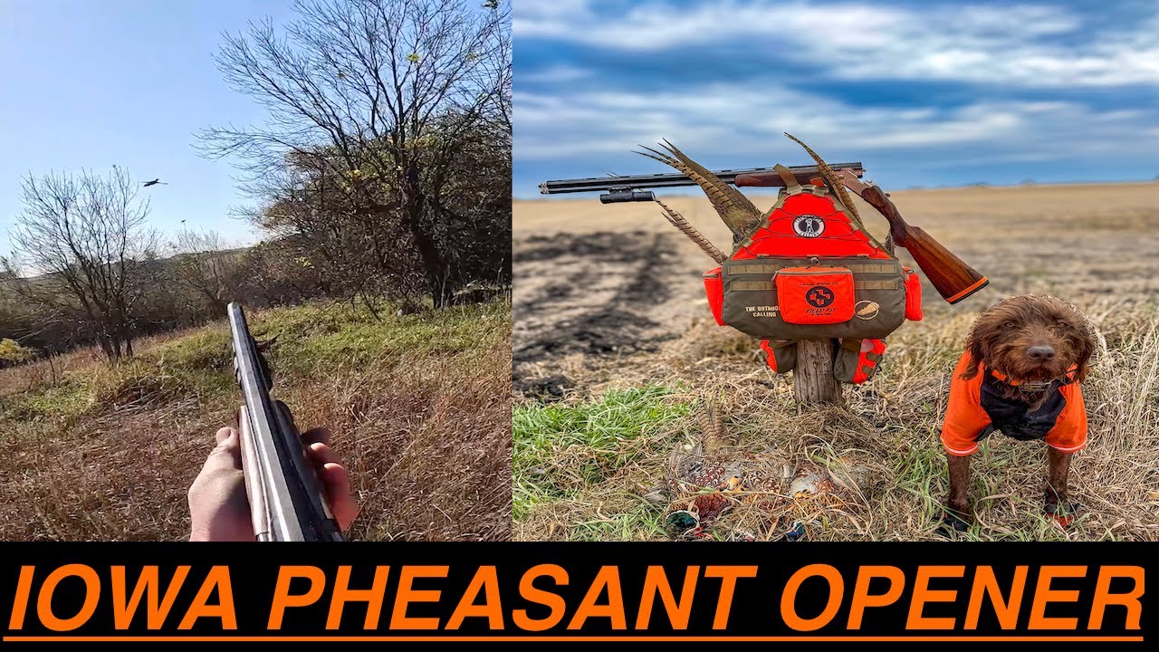 Открытие турнира Iowa Pheasant 2025 | Лимит 2 человека
