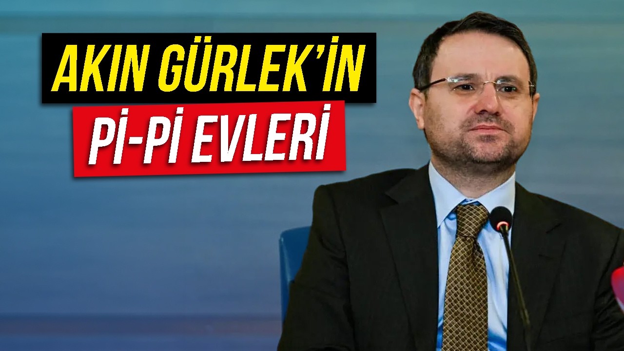 Akın Gürlek'in Pi-Pi Evleri