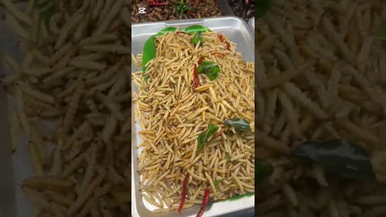 Open zoo ,food in Thailand 