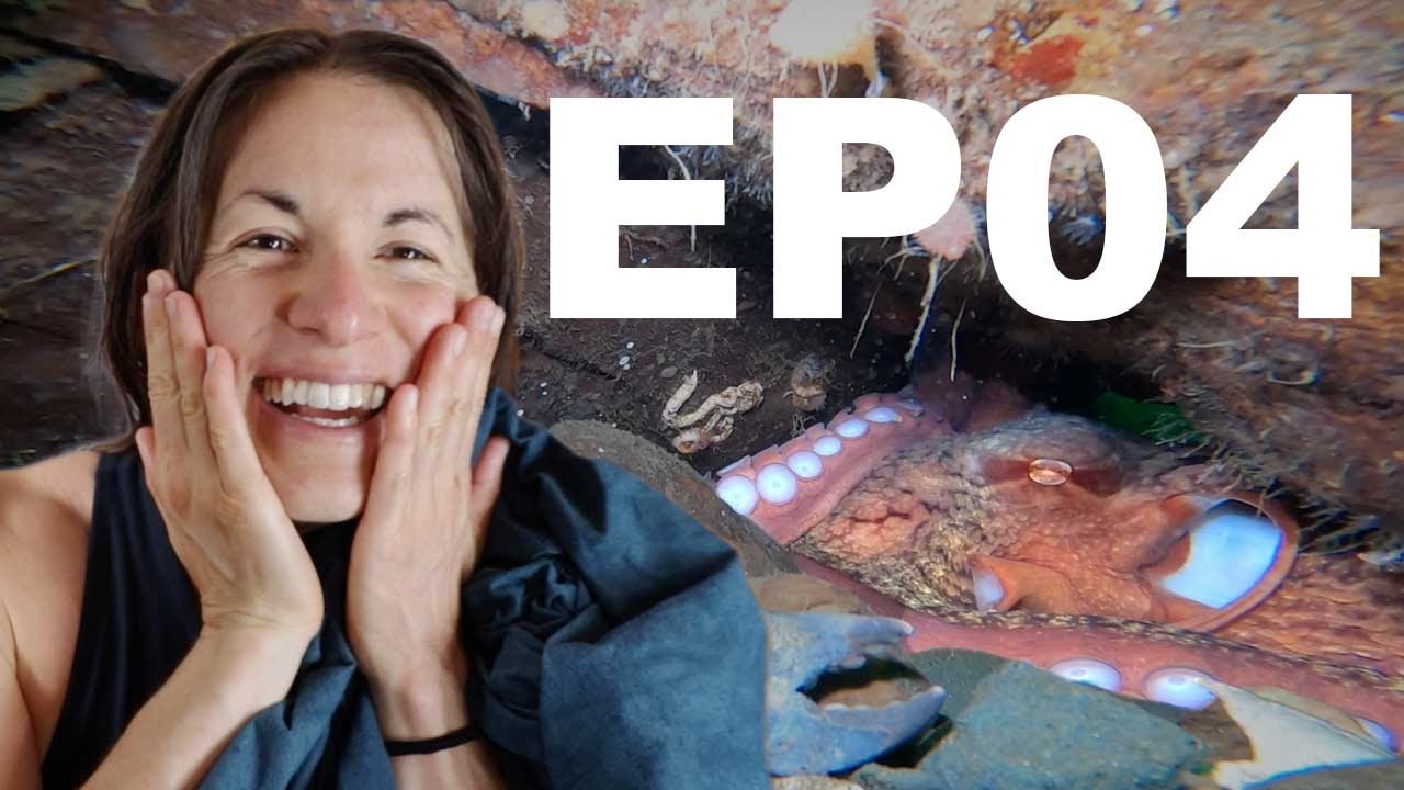 Deep diving & the GIANT PACIFIC OCTOPUS - Sund Rock - DIVE DRY ROAD TRIP EP04