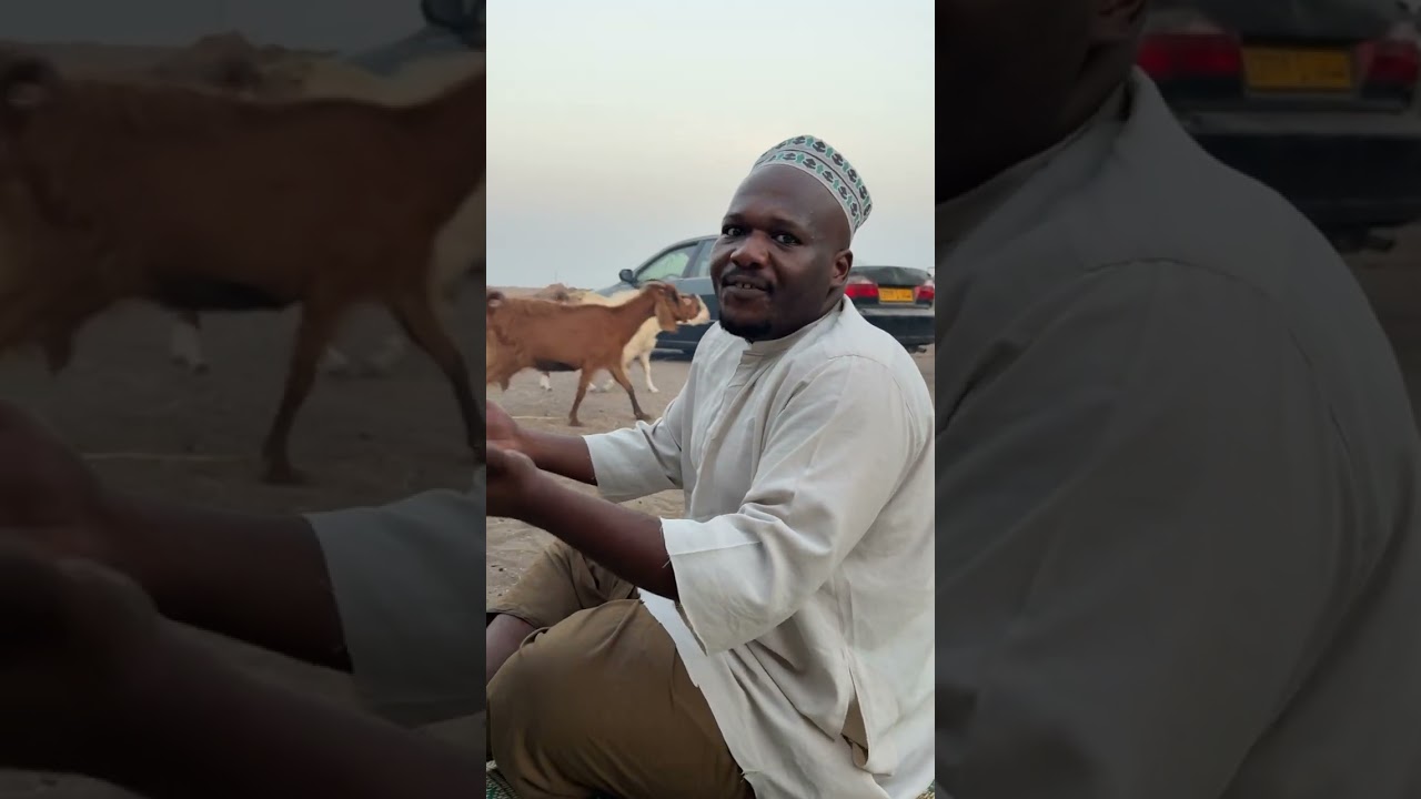 مبروك لشاري🤣🔥 