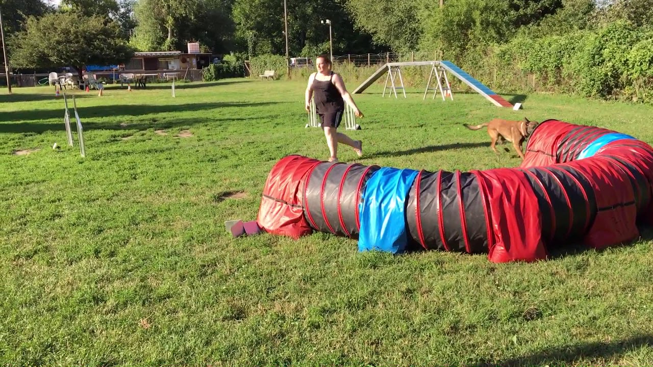Abschlussvideo Agility basics f&uuml;r Junghunde Jouka und Franzi