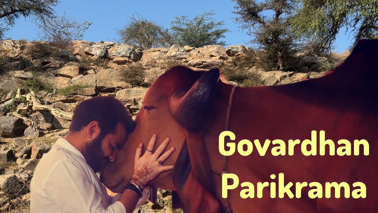 Ekadashi Special | Aaj Mere Sath Kijiye Govardhan Parikrama | Divine Experience 🙏 | UDTA AKASH
