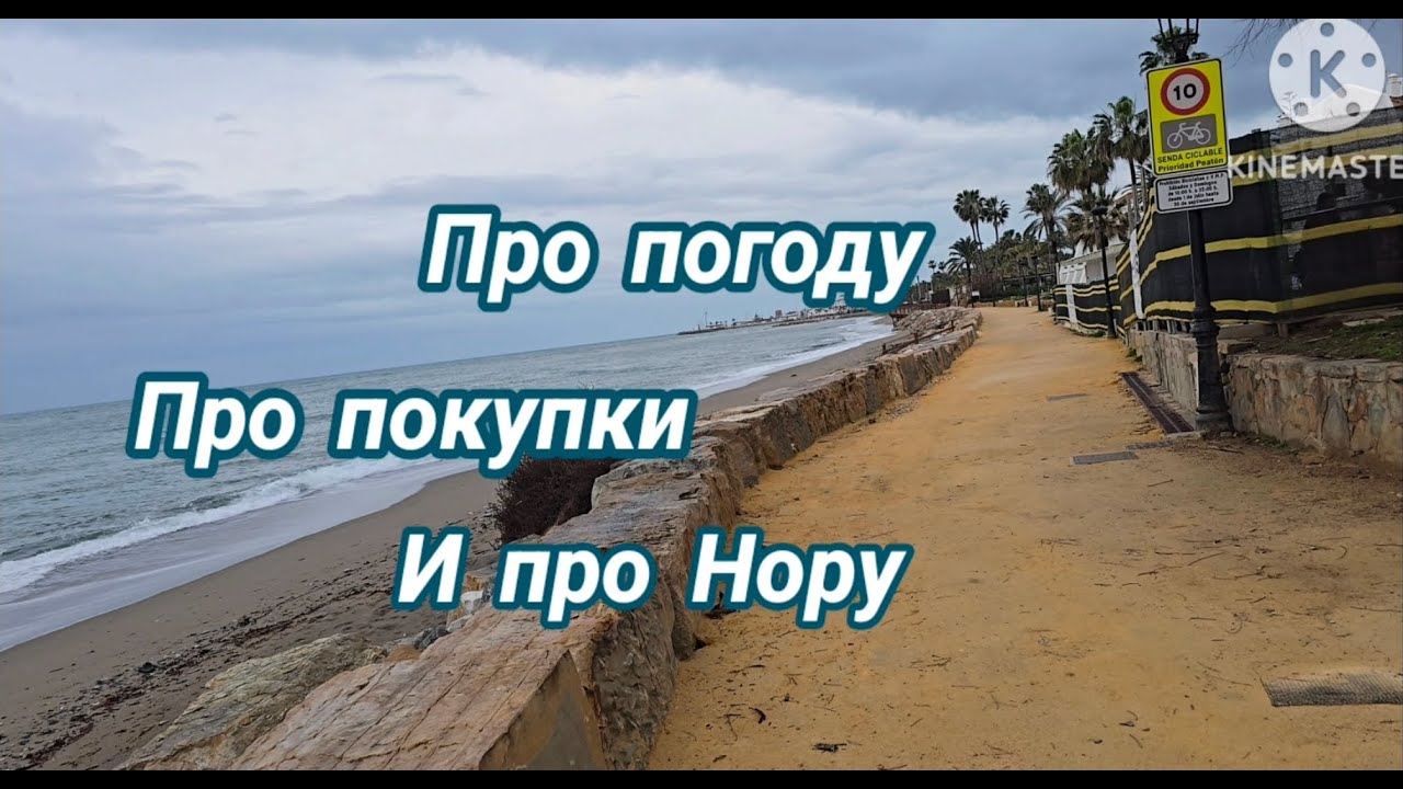 ШТОРМИТ? А У НАС УЮТНО! ОБЗОР ПОКУПОК И СОННАЯ НОРА  #шторм #влог #budgetvlog #andalucia #catslife