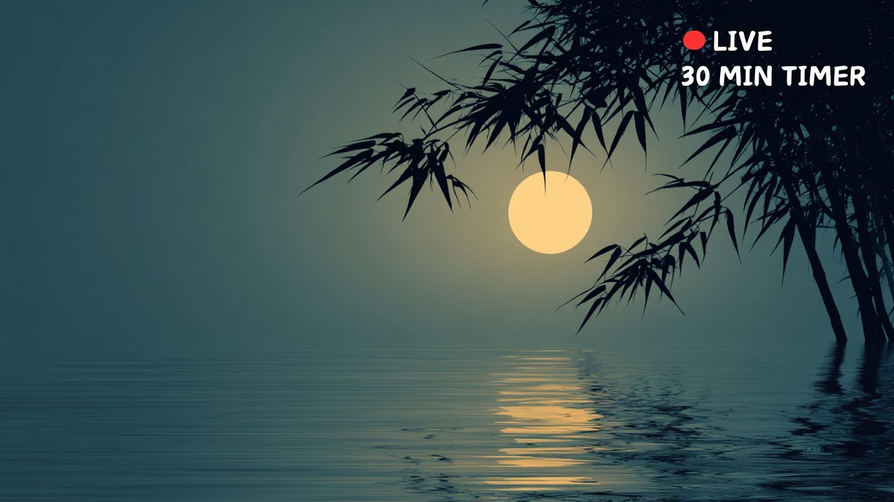 24/7 Deep Focus Music with Pomodoro Timer | Guqin & Xiao Zen Flow | 30m Bell Alert