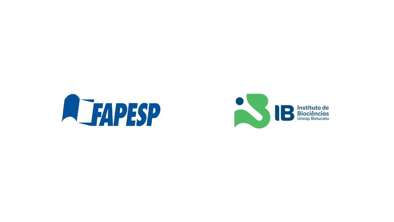 FAPESP: Propostas de submissão de bolsas e auxílios