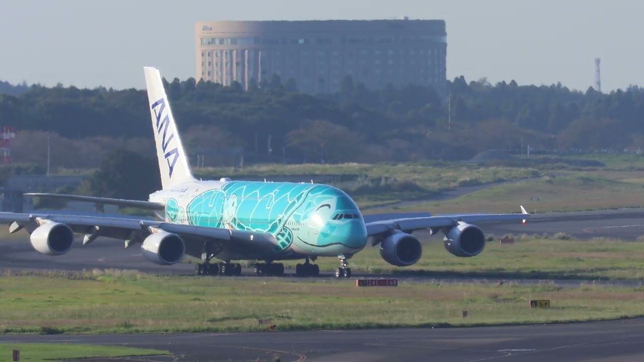 ANA green turtle A380 landing at RJAA.