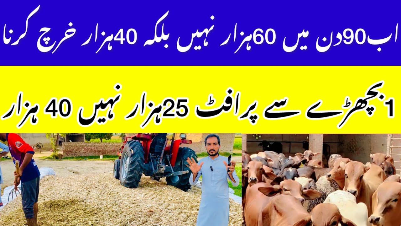 Pakistan Bachra Farming || 1 Bachray Ke Profet 40 Hazar